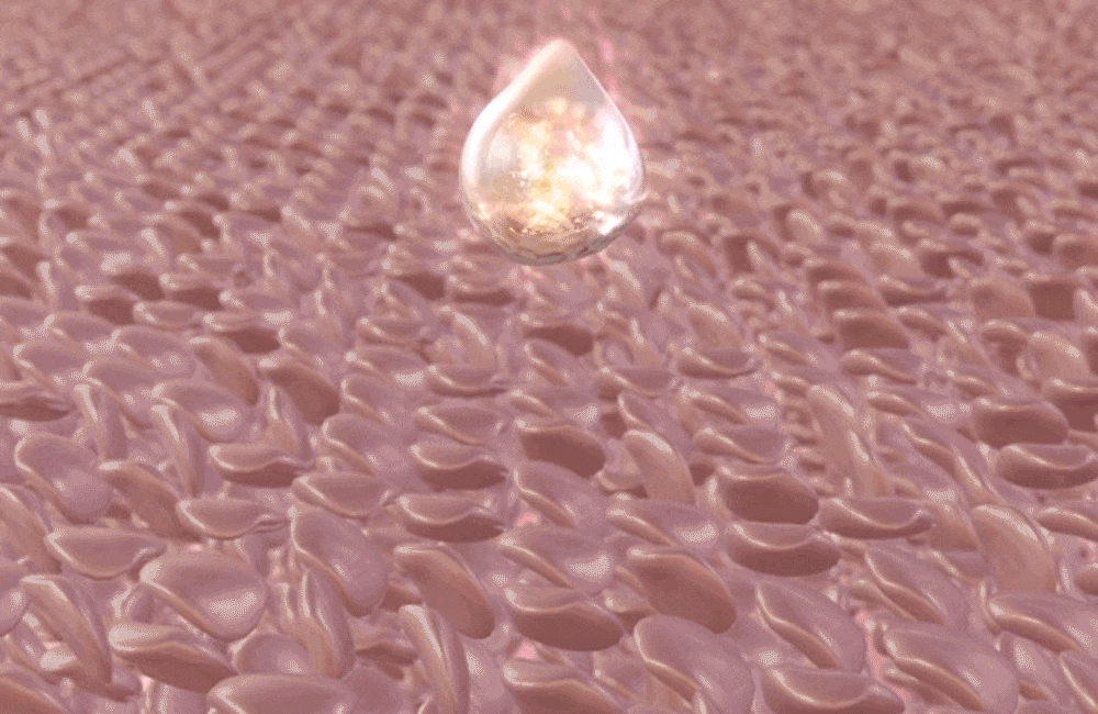 Crème Volufroshot PDRN Biome
