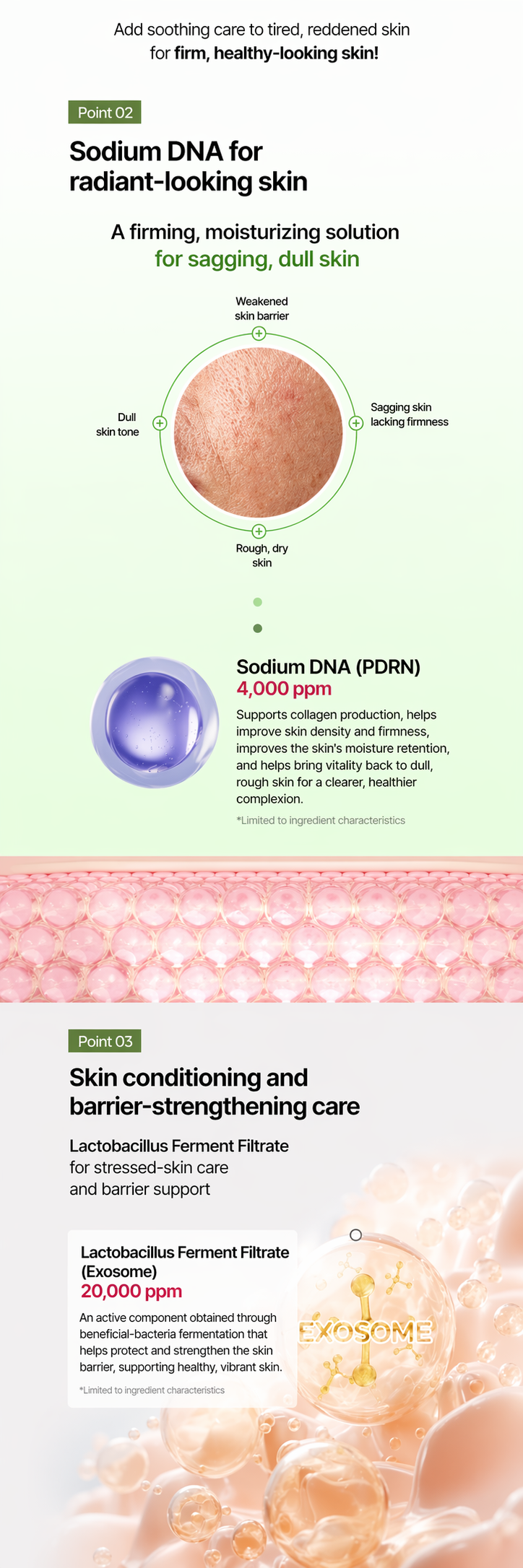 Madecassoside PDRN Exosome Cream