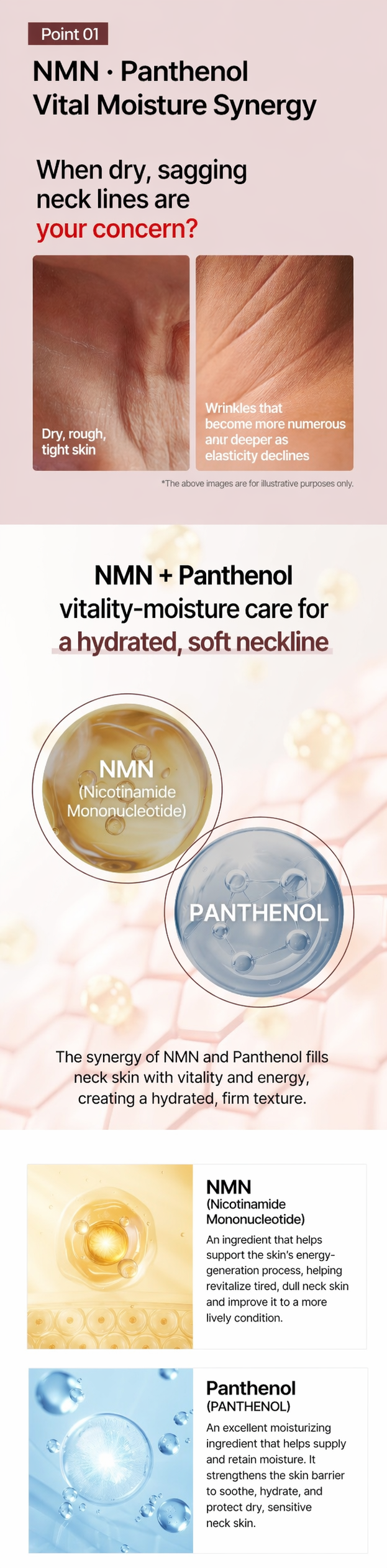 NMN PDRN Exosome Neck cream