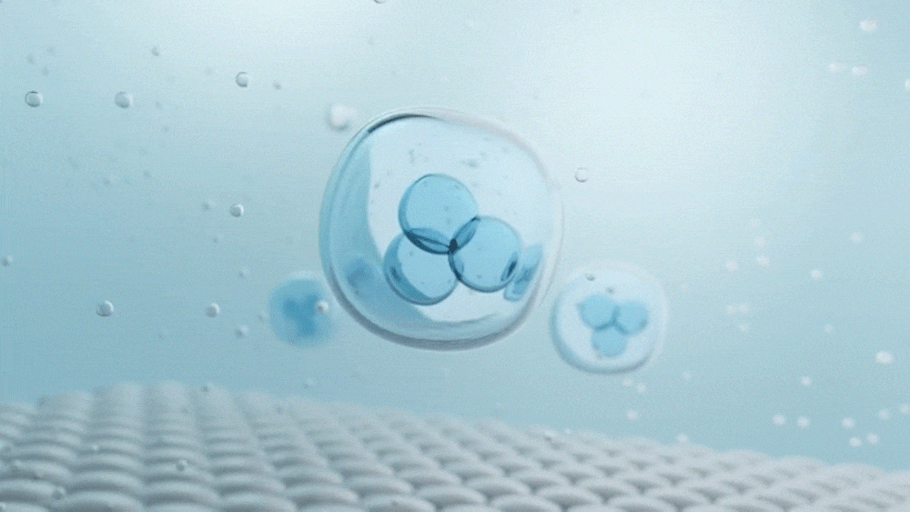 Madecassoside PDRN Exosome Cream